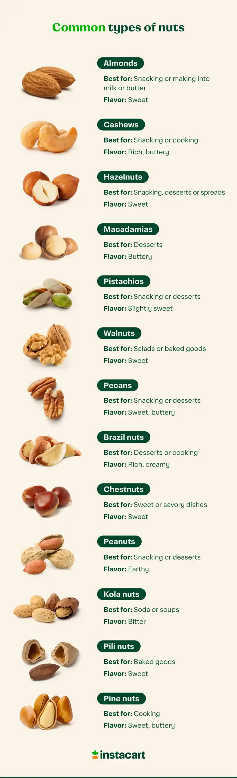 illustration of common types of nuts