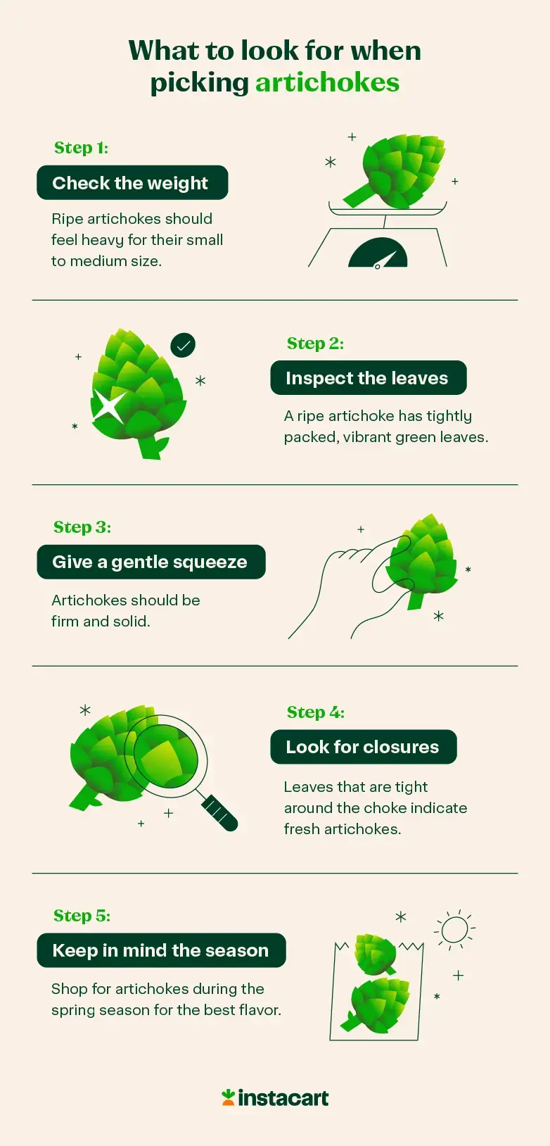 illustrated chart of what to look for when picking artichokes
