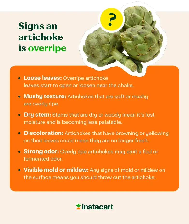 illustration showing the signs an artichoke is overripe