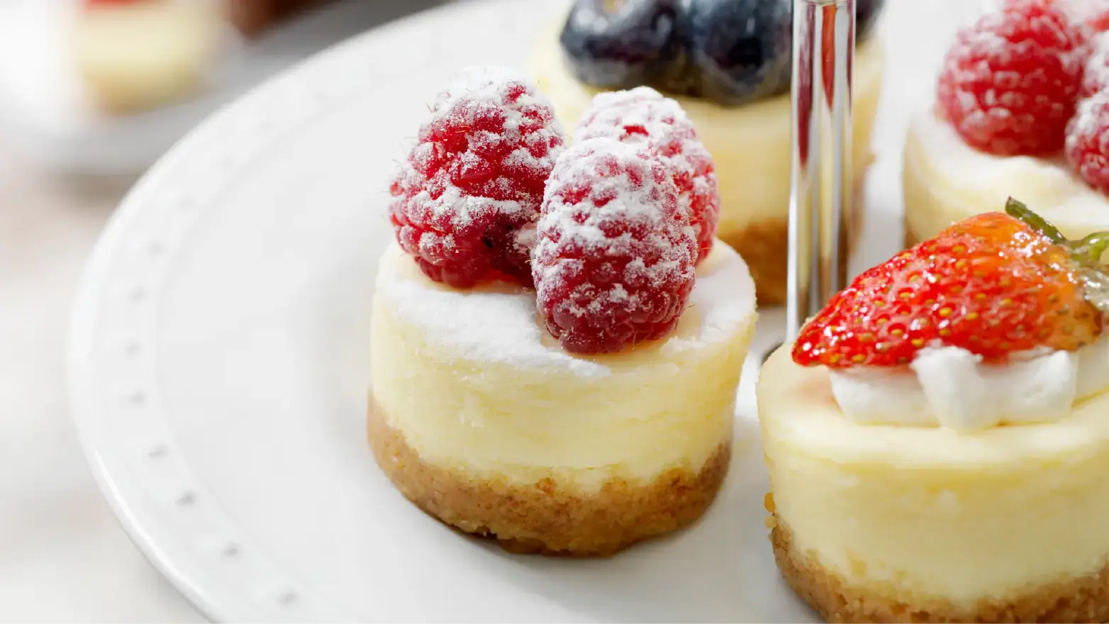 cheesecake bites topped with fruit