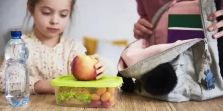 21 Toddler Lunch Box Ideas for Quick, Healthy Meals