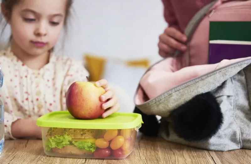 21 Toddler Lunch Box Ideas for Quick, Healthy Meals