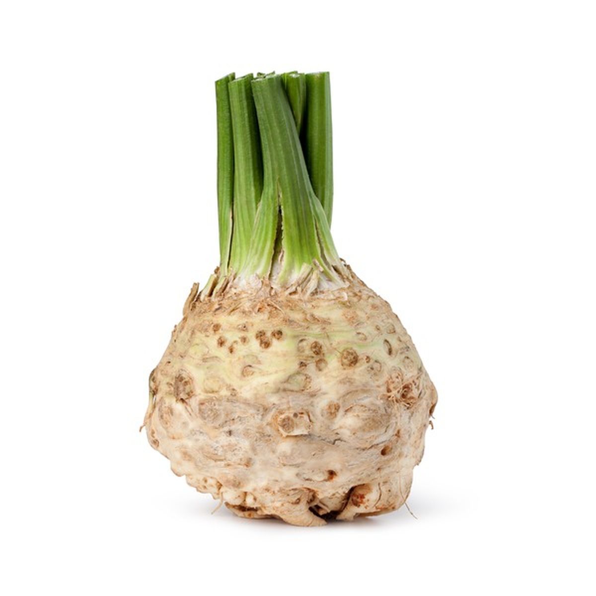 Celery Root (Knob) (each) Delivery or Pickup Near Me - Instacart