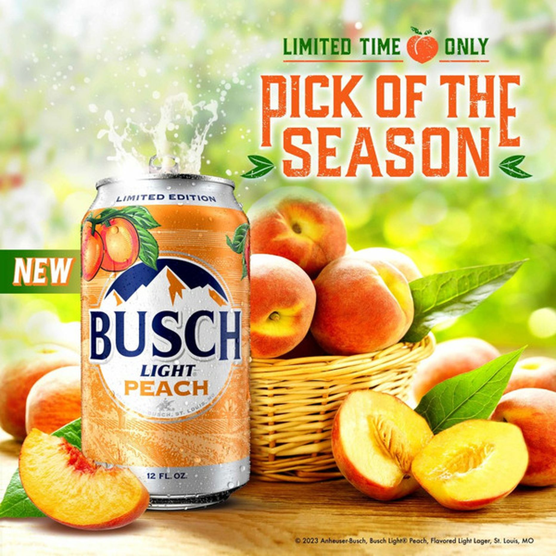 Busch Peach Beer Cans (288 fl oz) Delivery or Pickup Near Me Instacart