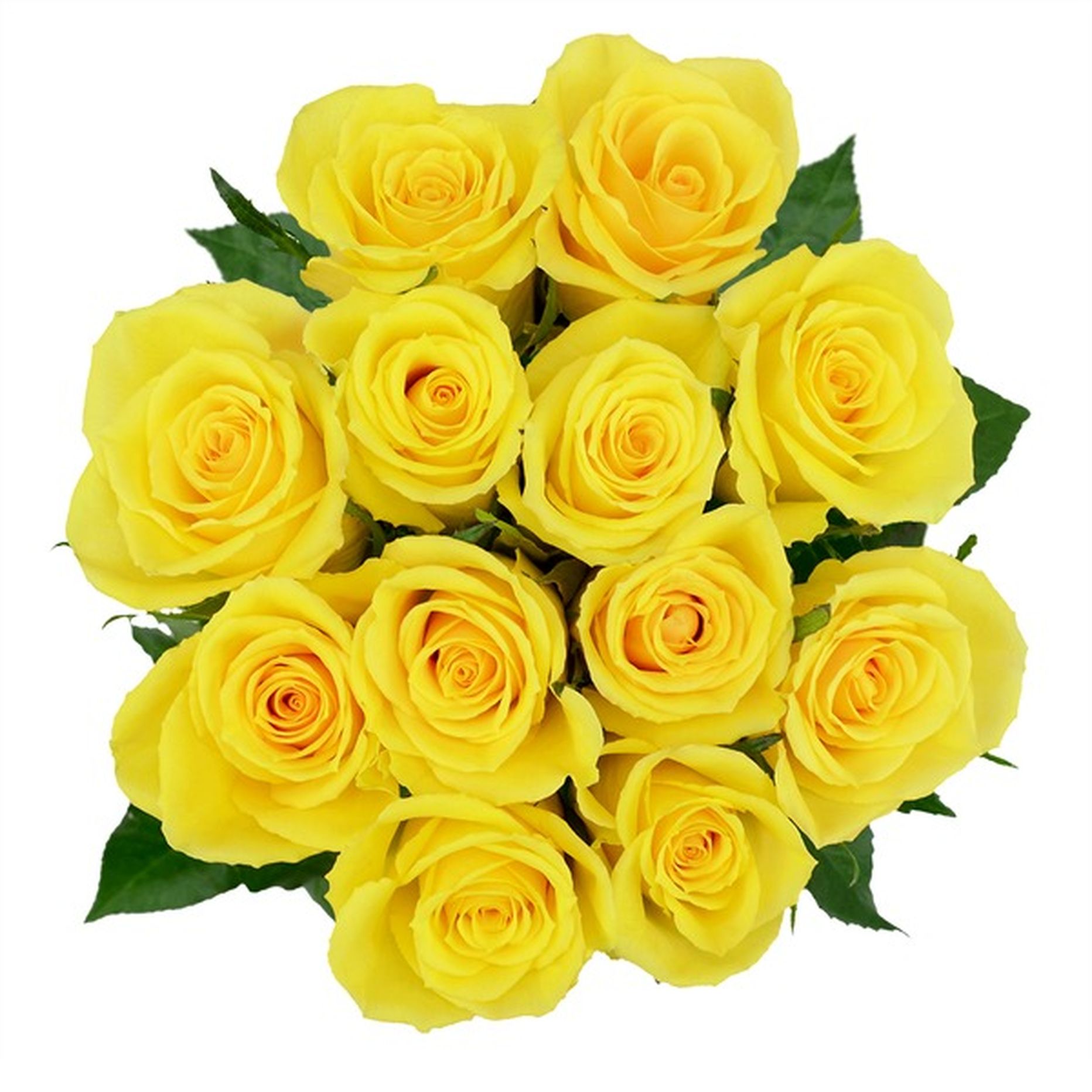 Debi Lilly Yellow or Orange Roses (1 Bouquet) Delivery or Pickup Near ...